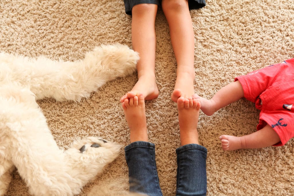 Carpet Cleaning, Lake elsinore