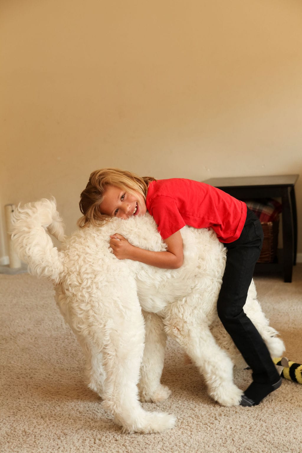 A boy hugging his dog on a clean carpet in Murrieta, CA